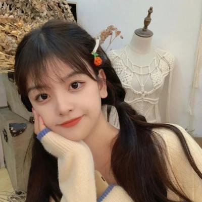 精武飞鸿